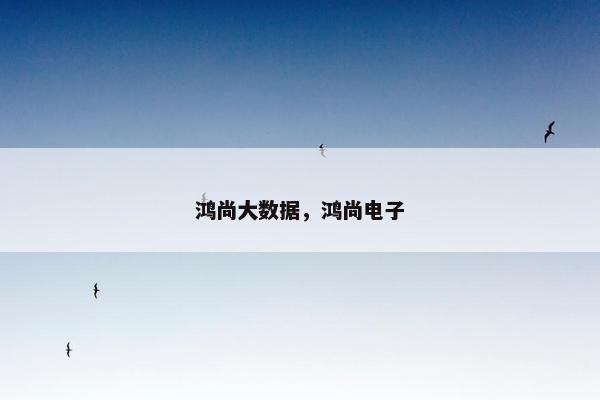 鸿尚大数据，鸿尚电子