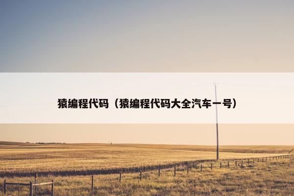 猿编程代码（猿编程代码大全汽车一号）