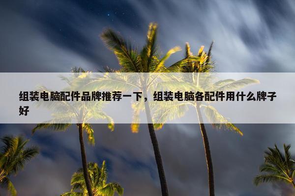 组装电脑配件品牌推荐一下，组装电脑各配件用什么牌子好