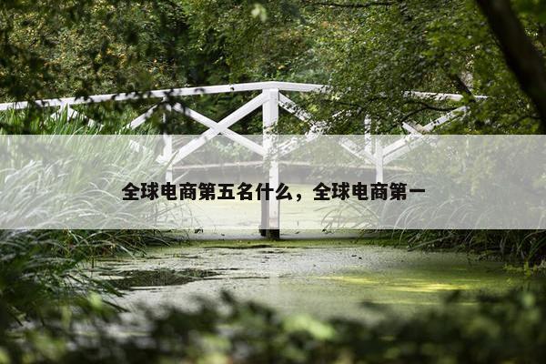 全球电商第五名什么，全球电商第一