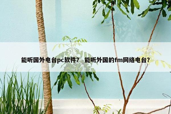 能听国外电台pc软件？ 能听外国的fm网络电台？