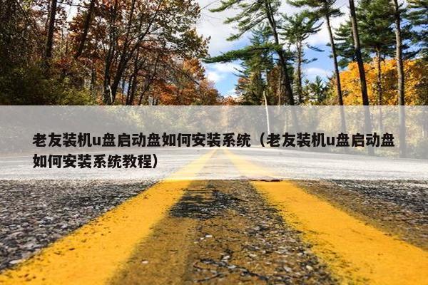 老友装机u盘启动盘如何安装系统（老友装机u盘启动盘如何安装系统教程）