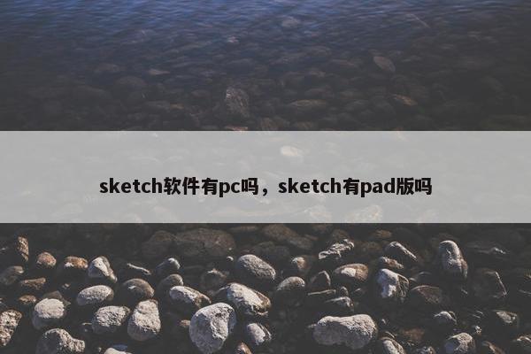 sketch软件有pc吗，sketch有pad版吗