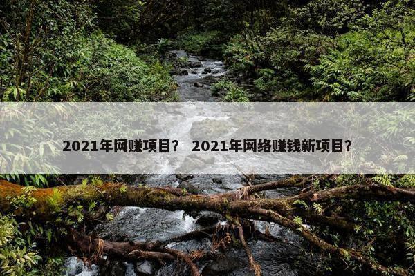 2021年网赚项目？ 2021年网络赚钱新项目？