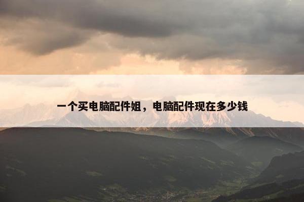 一个买电脑配件姐，电脑配件现在多少钱