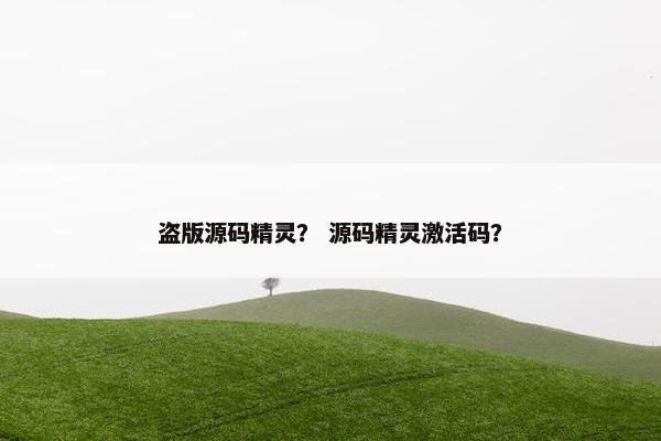 盗版源码精灵？ 源码精灵激活码？