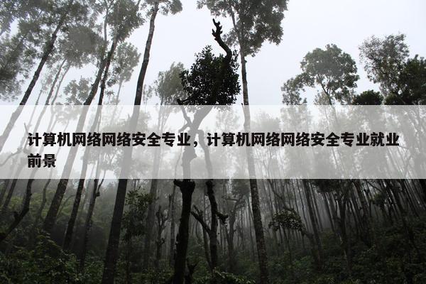 计算机网络网络安全专业，计算机网络网络安全专业就业前景