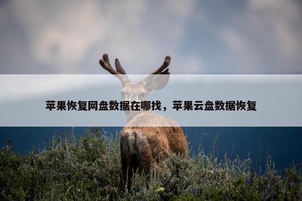 苹果恢复网盘数据在哪找，苹果云盘数据恢复