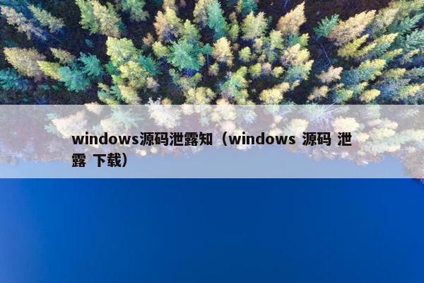 windows源码泄露知（windows 源码 泄露 下载）