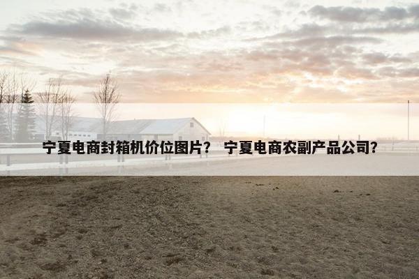 宁夏电商封箱机价位图片？ 宁夏电商农副产品公司？