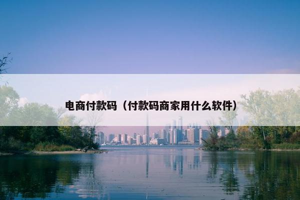 电商付款码（付款码商家用什么软件）