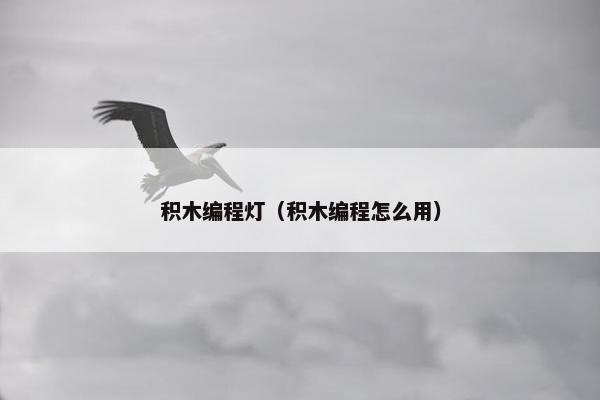 积木编程灯（积木编程怎么用）