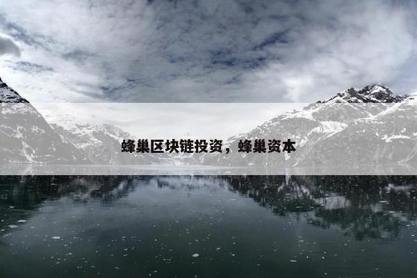 蜂巢区块链投资，蜂巢资本