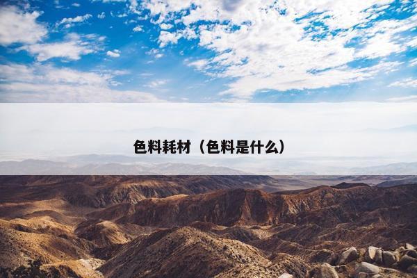 色料耗材（色料是什么）