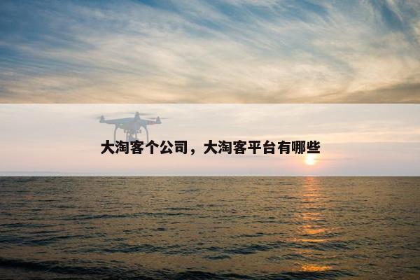 大淘客个公司，大淘客平台有哪些