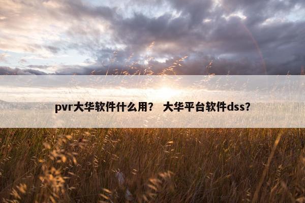 pvr大华软件什么用？ 大华平台软件dss？