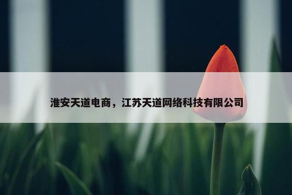 淮安天道电商，江苏天道网络科技有限公司