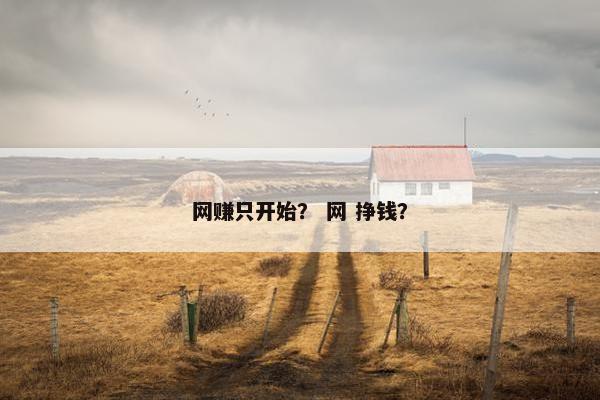 网赚只开始？ 网 挣钱？