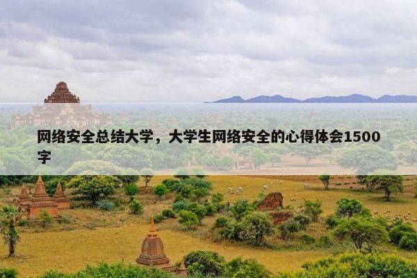 网络安全总结大学，大学生网络安全的心得体会1500字