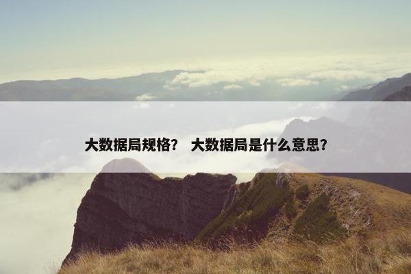 大数据局规格？ 大数据局是什么意思？