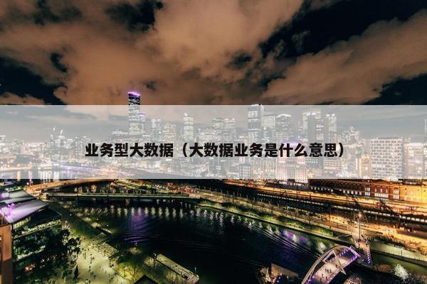 业务型大数据（大数据业务是什么意思）