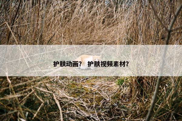 护肤动画？ 护肤视频素材？