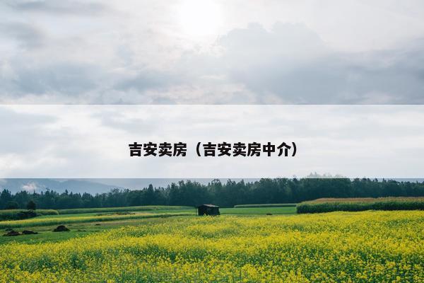 吉安卖房（吉安卖房中介）