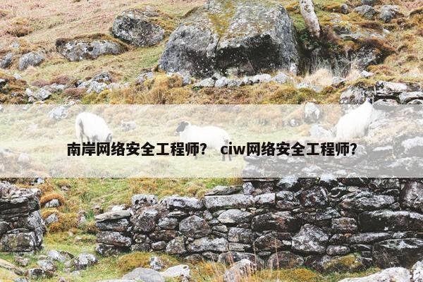 南岸网络安全工程师？ ciw网络安全工程师？