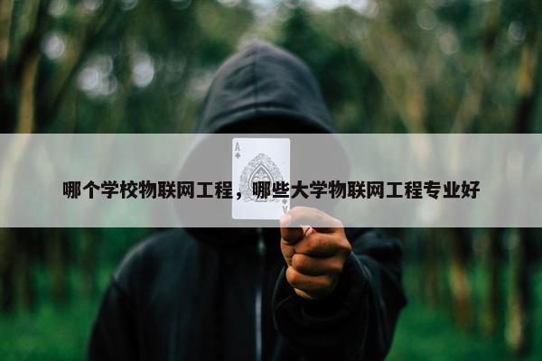 哪个学校物联网工程，哪些大学物联网工程专业好