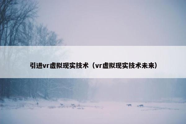 引进vr虚拟现实技术（vr虚拟现实技术未来）