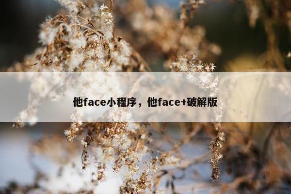 他face小程序，他face+破解版