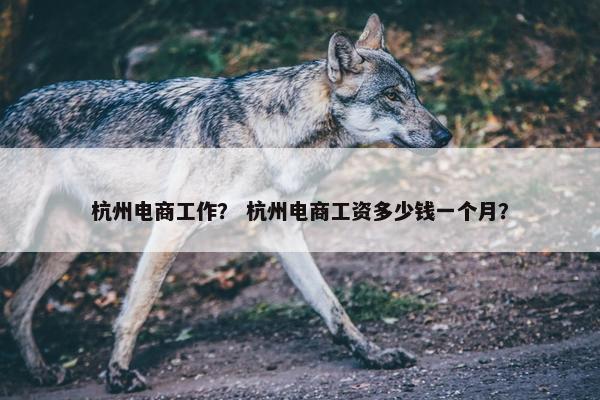杭州电商工作？ 杭州电商工资多少钱一个月？