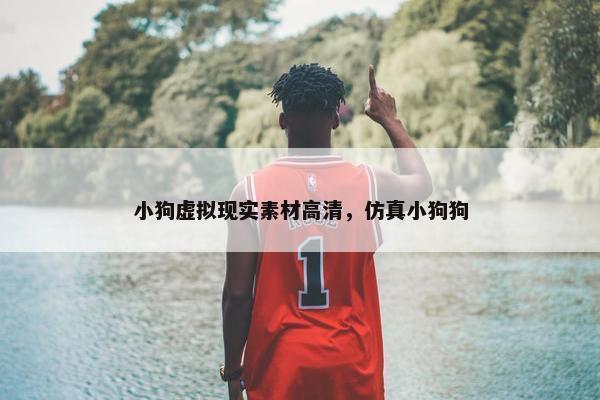 小狗虚拟现实素材高清，仿真小狗狗