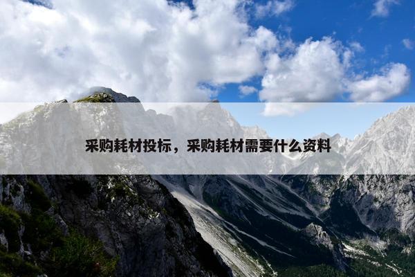 采购耗材投标，采购耗材需要什么资料
