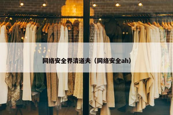 网络安全界清道夫（网络安全ah）