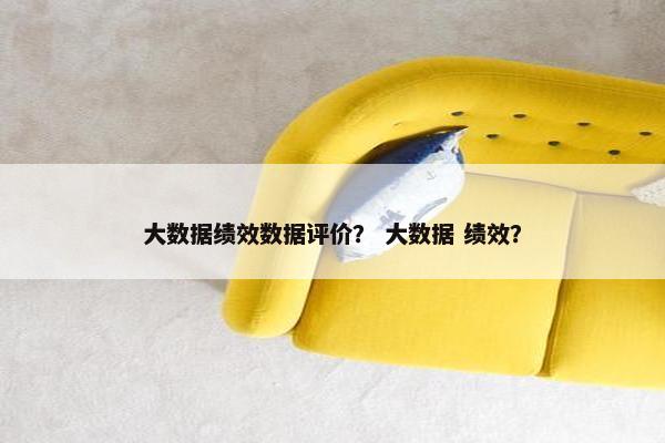 大数据绩效数据评价？ 大数据 绩效？