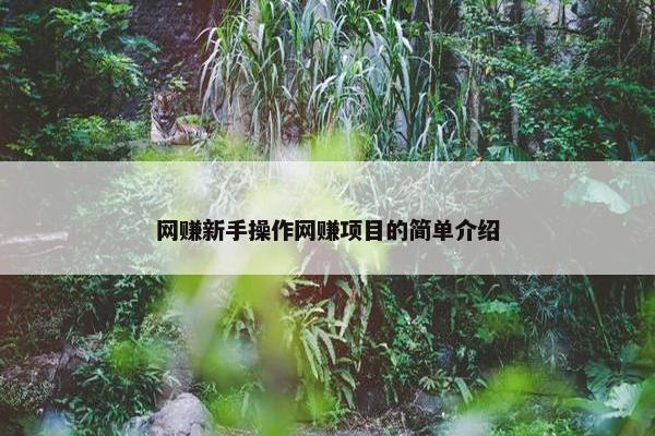 网赚新手操作网赚项目的简单介绍