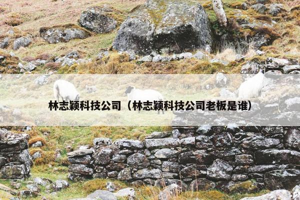 林志颖科技公司（林志颖科技公司老板是谁）