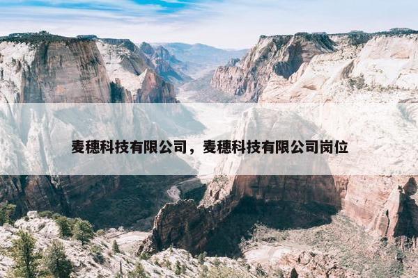 麦穗科技有限公司，麦穗科技有限公司岗位