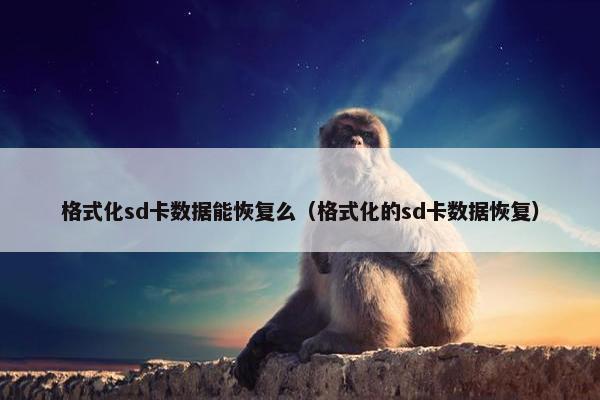 格式化sd卡数据能恢复么（格式化的sd卡数据恢复）