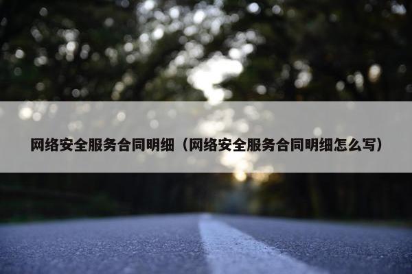 网络安全服务合同明细（网络安全服务合同明细怎么写）