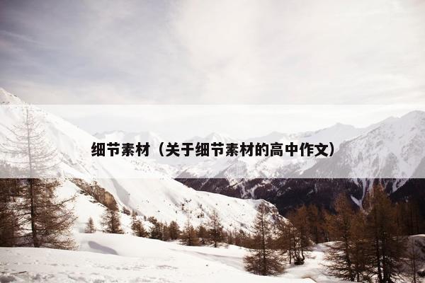 细节素材（关于细节素材的高中作文）