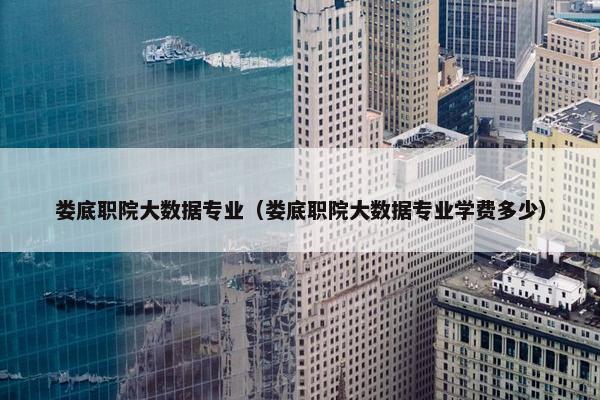 娄底职院大数据专业（娄底职院大数据专业学费多少）