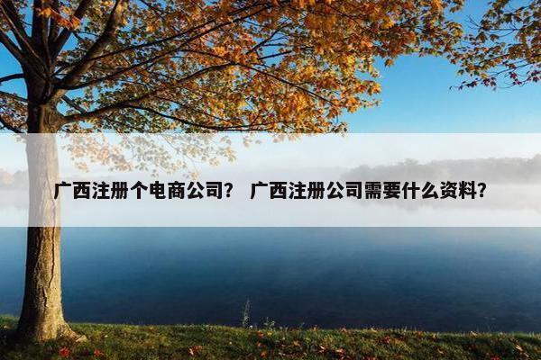 广西注册个电商公司？ 广西注册公司需要什么资料？