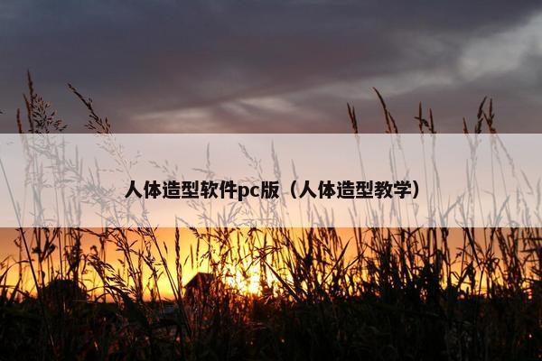 人体造型软件pc版（人体造型教学）