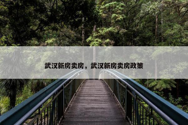 武汉新房卖房，武汉新房卖房政策