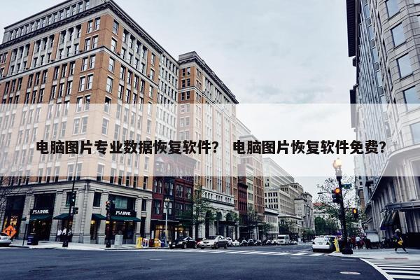 电脑图片专业数据恢复软件？ 电脑图片恢复软件免费？