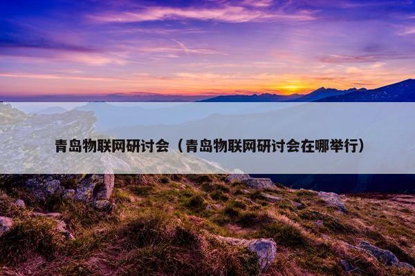 青岛物联网研讨会（青岛物联网研讨会在哪举行）