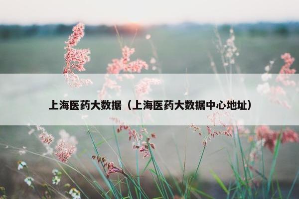 上海医药大数据（上海医药大数据中心地址）