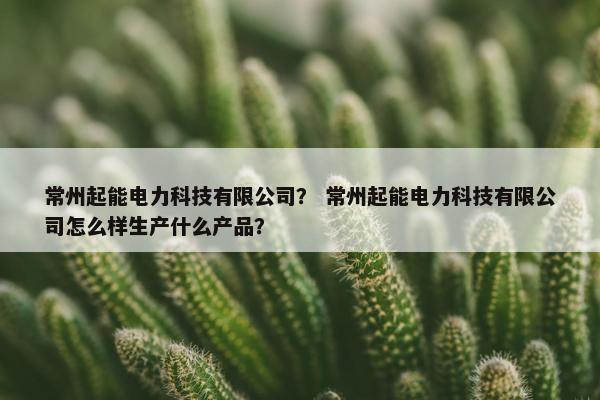 常州起能电力科技有限公司？ 常州起能电力科技有限公司怎么样生产什么产品？